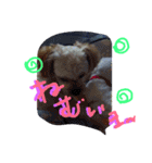 にゃんことマカロン（個別スタンプ：10）