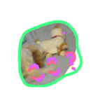 にゃんことマカロン（個別スタンプ：23）