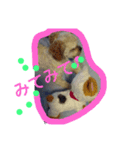 にゃんことマカロン（個別スタンプ：25）