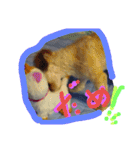 にゃんことマカロン（個別スタンプ：28）