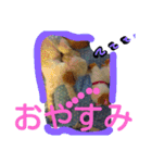 にゃんことマカロン（個別スタンプ：32）