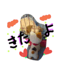 にゃんことマカロン（個別スタンプ：33）