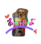 にゃんことマカロン（個別スタンプ：34）