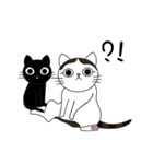 Poker face cats - JUJU＆HOLA（個別スタンプ：2）