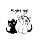 Poker face cats - JUJU＆HOLA（個別スタンプ：4）