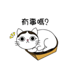 Poker face cats - JUJU＆HOLA（個別スタンプ：8）