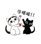 Poker face cats - JUJU＆HOLA（個別スタンプ：9）