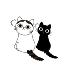 Poker face cats - JUJU＆HOLA（個別スタンプ：10）
