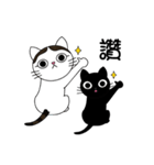 Poker face cats - JUJU＆HOLA（個別スタンプ：11）
