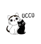 Poker face cats - JUJU＆HOLA（個別スタンプ：15）