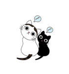 Poker face cats - JUJU＆HOLA（個別スタンプ：17）