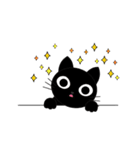 Poker face cats - JUJU＆HOLA（個別スタンプ：18）