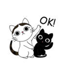Poker face cats - JUJU＆HOLA（個別スタンプ：19）