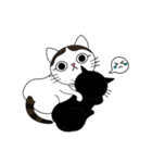 Poker face cats - JUJU＆HOLA（個別スタンプ：21）