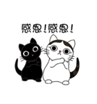 Poker face cats - JUJU＆HOLA（個別スタンプ：22）