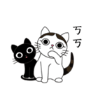 Poker face cats - JUJU＆HOLA（個別スタンプ：23）