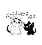 Poker face cats - JUJU＆HOLA（個別スタンプ：24）
