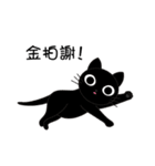 Poker face cats - JUJU＆HOLA（個別スタンプ：25）
