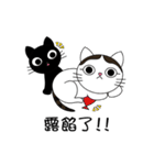 Poker face cats - JUJU＆HOLA（個別スタンプ：26）