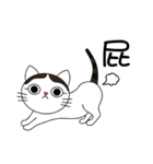 Poker face cats - JUJU＆HOLA（個別スタンプ：27）