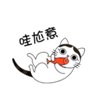 Poker face cats - JUJU＆HOLA（個別スタンプ：28）