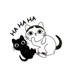 Poker face cats - JUJU＆HOLA（個別スタンプ：30）