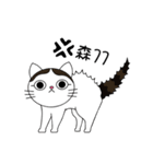Poker face cats - JUJU＆HOLA（個別スタンプ：34）