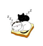 Poker face cats - JUJU＆HOLA（個別スタンプ：35）