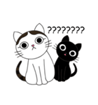 Poker face cats - JUJU＆HOLA（個別スタンプ：36）