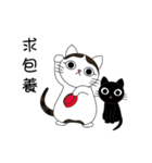 Poker face cats - JUJU＆HOLA（個別スタンプ：37）