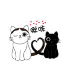 Poker face cats - JUJU＆HOLA（個別スタンプ：38）