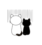 Poker face cats - JUJU＆HOLA（個別スタンプ：40）
