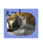 おすまし猫の日常 1（個別スタンプ：15）