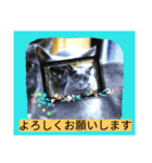 おすまし猫の日常 1（個別スタンプ：18）