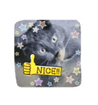 おすまし猫の日常 1（個別スタンプ：27）