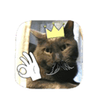 おすまし猫の日常 1（個別スタンプ：28）
