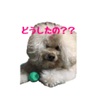 Luke ＆ Bob（個別スタンプ：2）