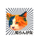 オトナねこ（個別スタンプ：5）
