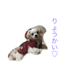 まるちー（個別スタンプ：4）