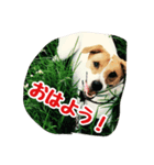 空散歩（個別スタンプ：2）