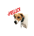 空散歩（個別スタンプ：6）