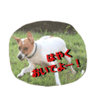 空散歩（個別スタンプ：8）