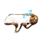 smilng 空（個別スタンプ：4）