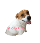 smilng 空（個別スタンプ：5）