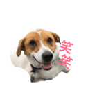smilng 空（個別スタンプ：8）