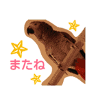 ヨウムとウロコインコとコダイマキエインコ（個別スタンプ：15）