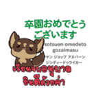 お祝い犬日本語タイ語（個別スタンプ：10）