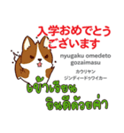 お祝い犬日本語タイ語（個別スタンプ：11）