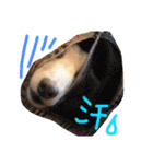 39-ダックス（個別スタンプ：22）