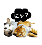 みるさんちびさん（個別スタンプ：1）